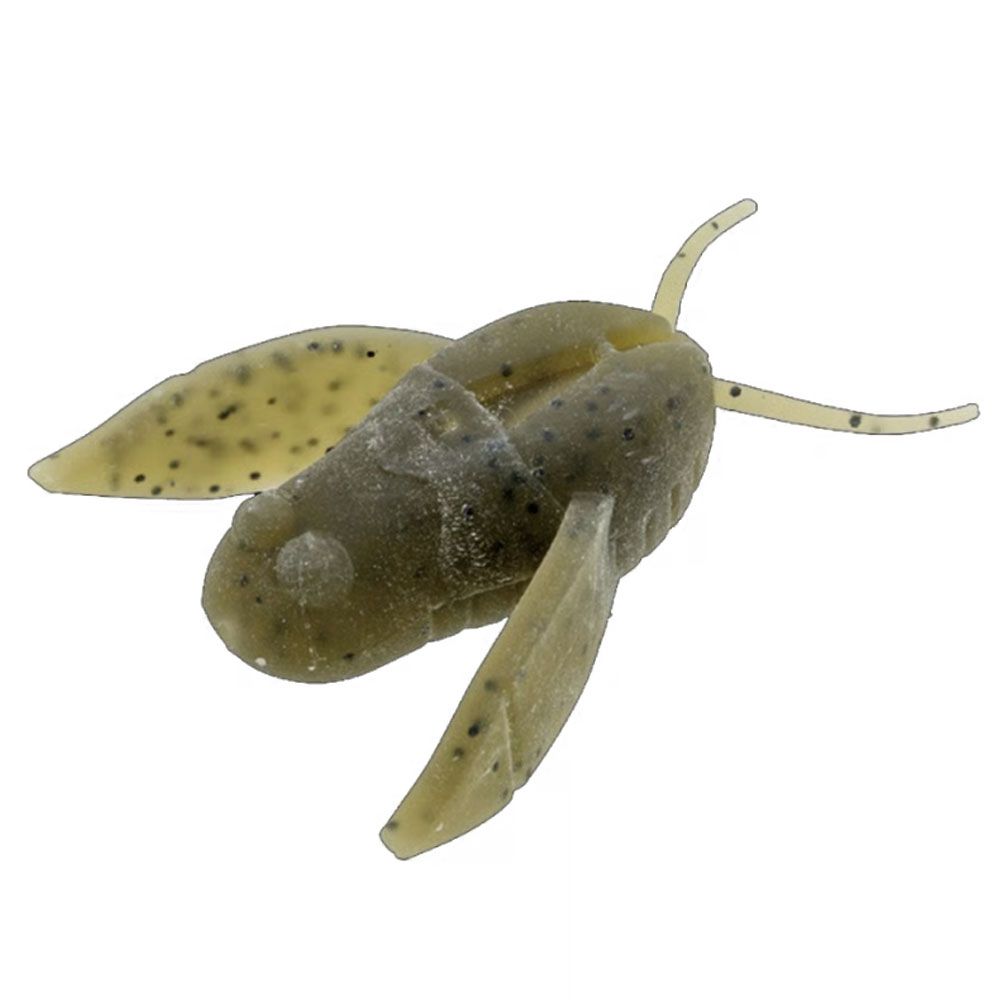 Nories Clionex Green Pumpkin Nories