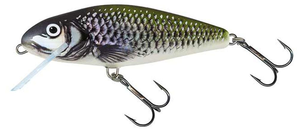 Salmo Perch Holo Bleak Salmo