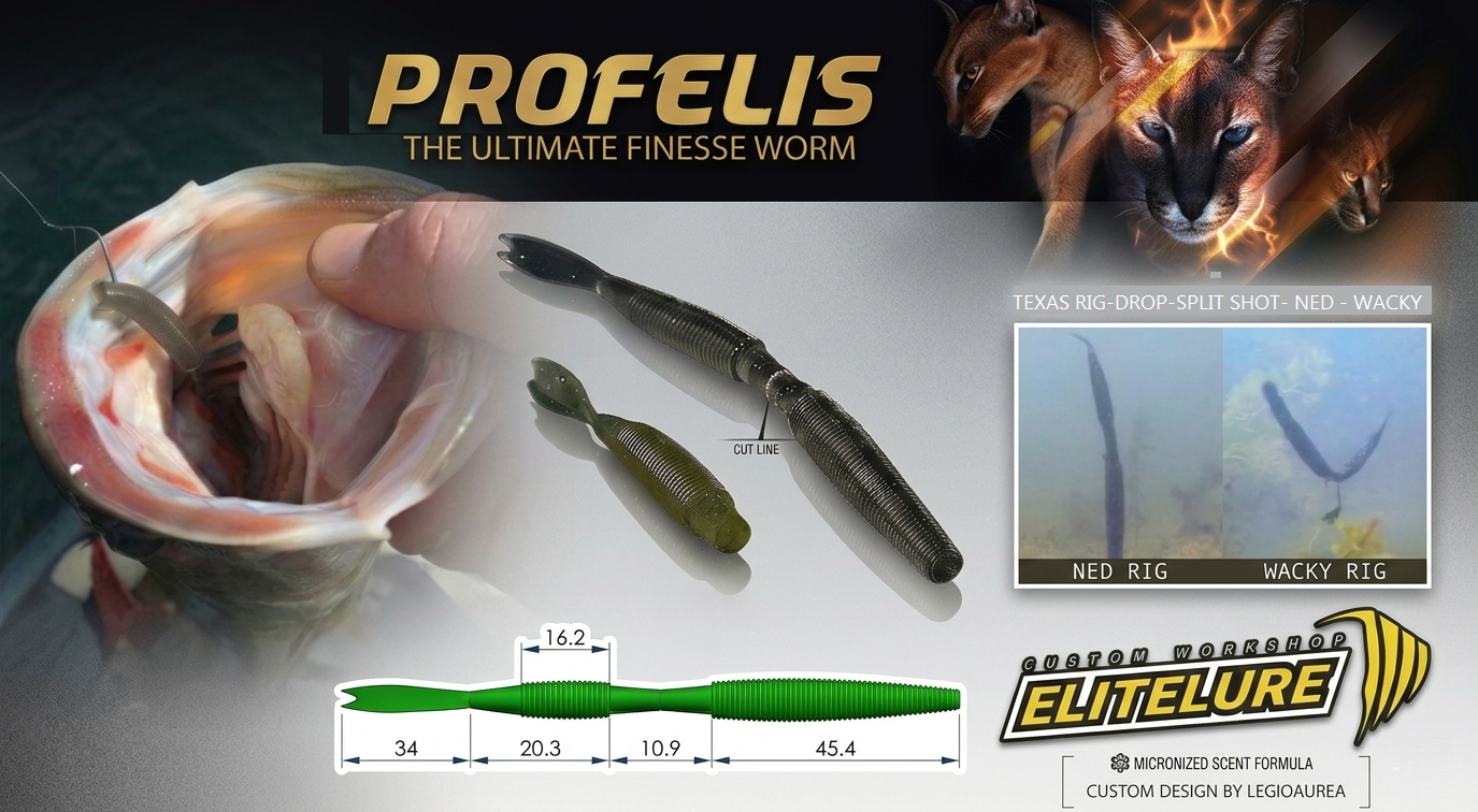 Immagine del prodotto Elitelure Profelis Worm