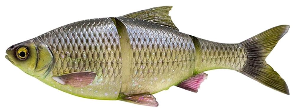 Savage Gear 4D Line Thru Roach Toxic Roach Savage Gear