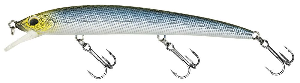 Molix Finder Jerk Evo 125 #643 - Mat Blue Wakasagi Molix