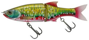 Molix Glide Bait 178 Sanguinerola Molix