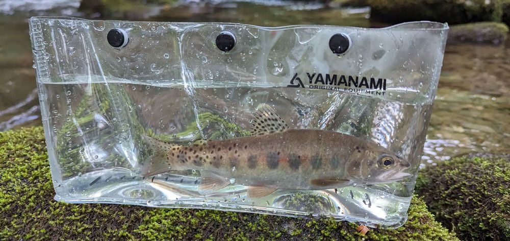 Yamanami Capture Yamanami