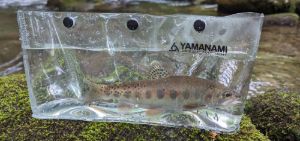 Yamanami Capture Yamanami