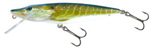 Salmo Pike Real Pike Salmo