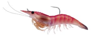 Livetarget Rigged Shrimp Hot Pink Livetarget