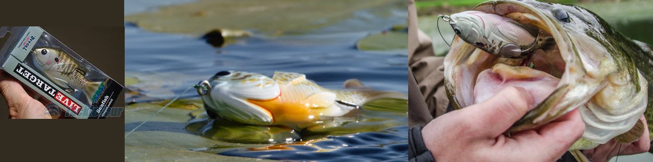 Immagine del prodotto Livetarget Hollow Belly Sunfish