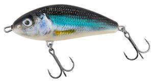 Salmo Fatso Holo Smelt Salmo