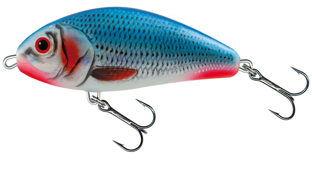 Salmo Fatso Bleeding Blue Shad Salmo