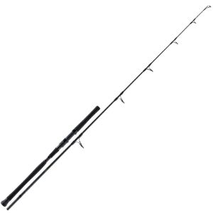 Molix Fioretto Essence MX Spinning Molix