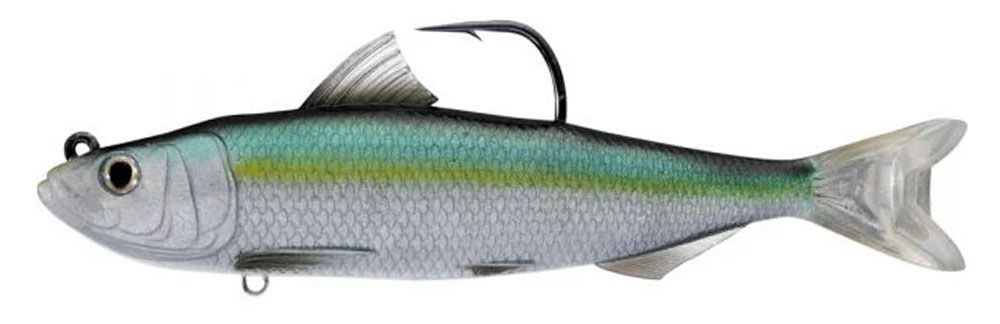 Livetarget Spanish Sardine Silver/Green Livetarget