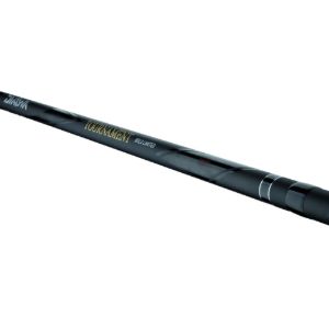 Daiwa 23 Tournament Bolo LTD RG Daiwa