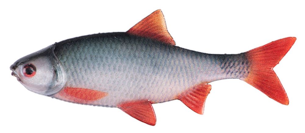 Fox Rage Ultra Natural Fillets Roach Fox Rage