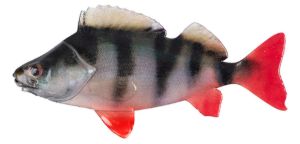 Fox Rage Ultra Natural Fillets Perch Fox Rage