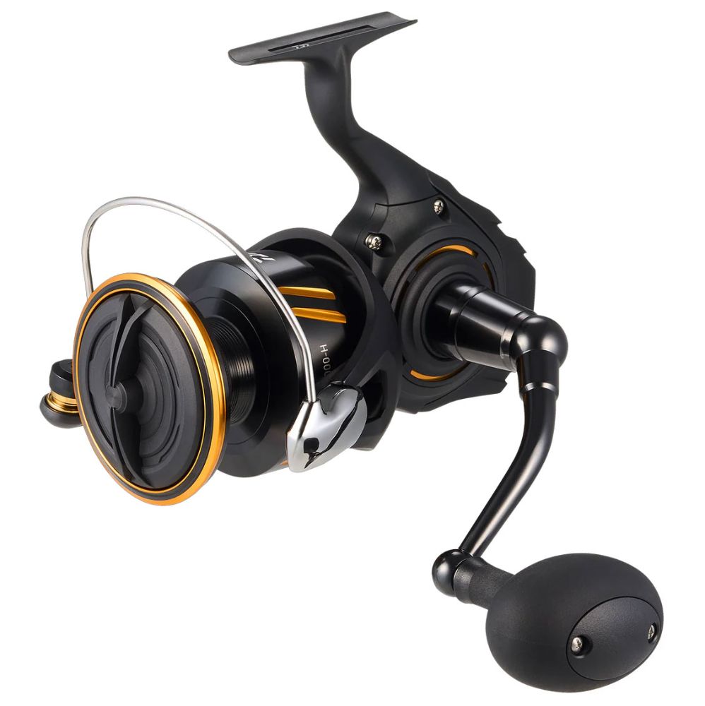 Daiwa 26 BG SW spinning Daiwa