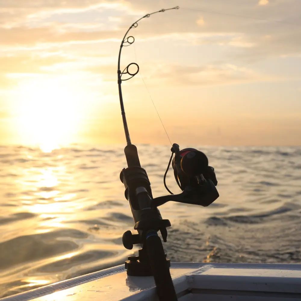 Railblaza Hexx Rod Holder Railblaza