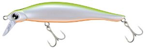 Jackson Rogos PCOT Jackson