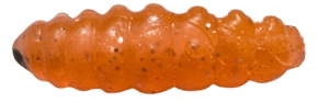 Zepre Camole #01 Zepre