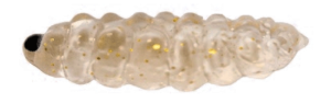 Zepre Camole #03 Zepre