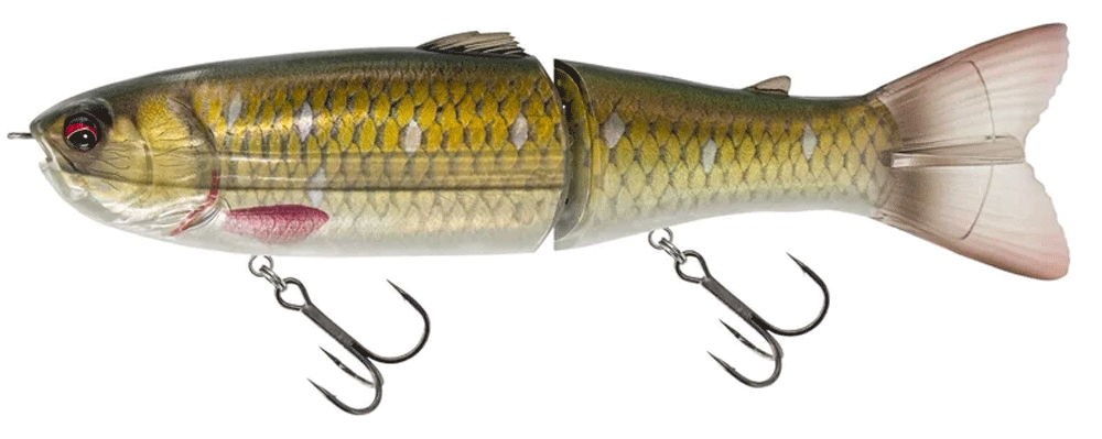 Savage Gear Wide Glide Scandal Dirty Roach Savage Gear