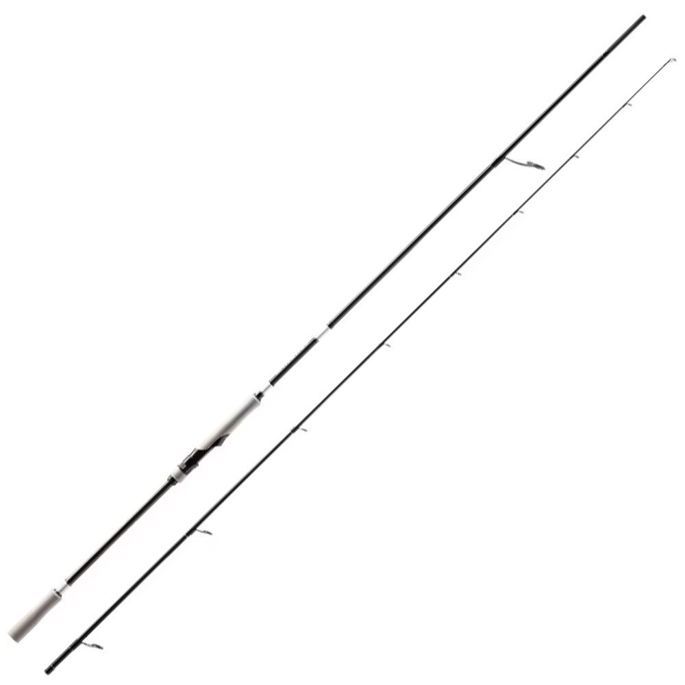Shimano Bassterra XT+ A Seabass Spin Shimano
