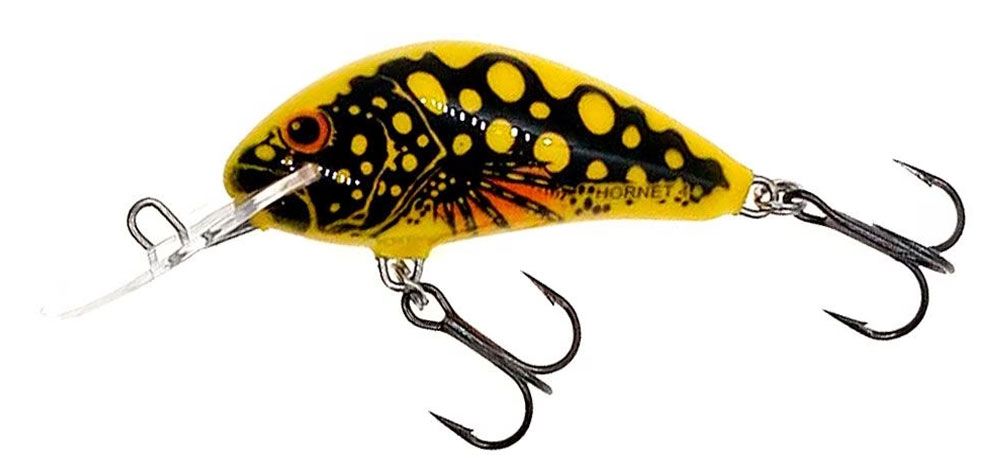 Salmo Hornet Beetle Salmo