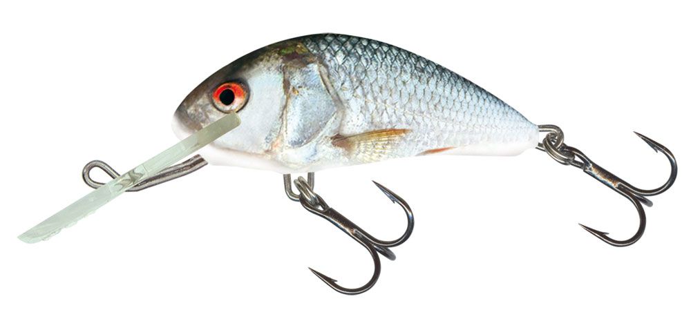 Salmo Hornet Real Dace Salmo