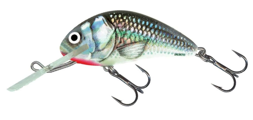Salmo Hornet Holo Grey Shiner Salmo
