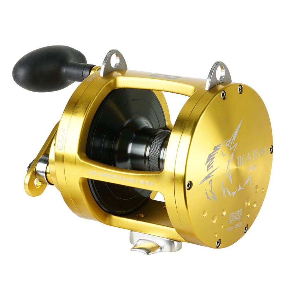 Tica Team TM Series 30 Gold Tica